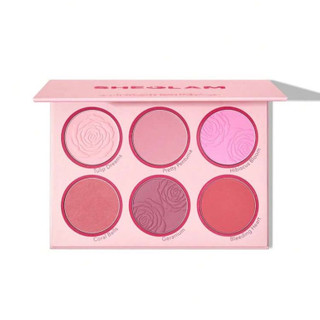 پلت رژگونه 6 رنگ شیگلم SHEGLAM